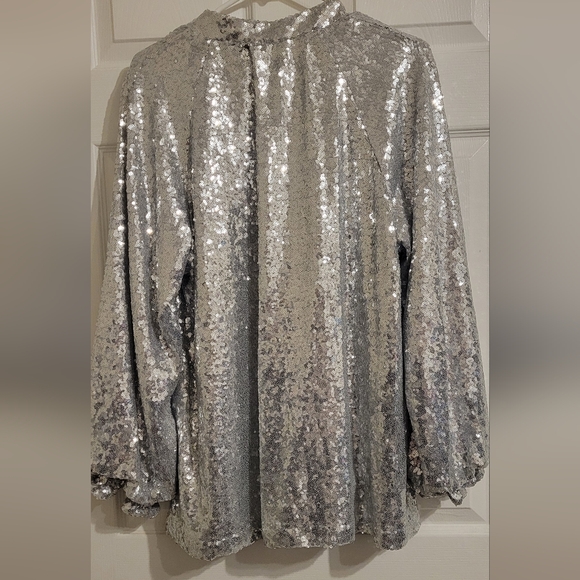 Silver Sequin Dress - Picture 3 of 5